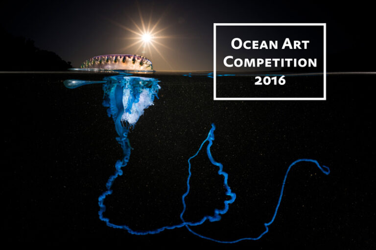 2016 Ocean Art Contest Winners 1st-wide-oa16-matty-smith