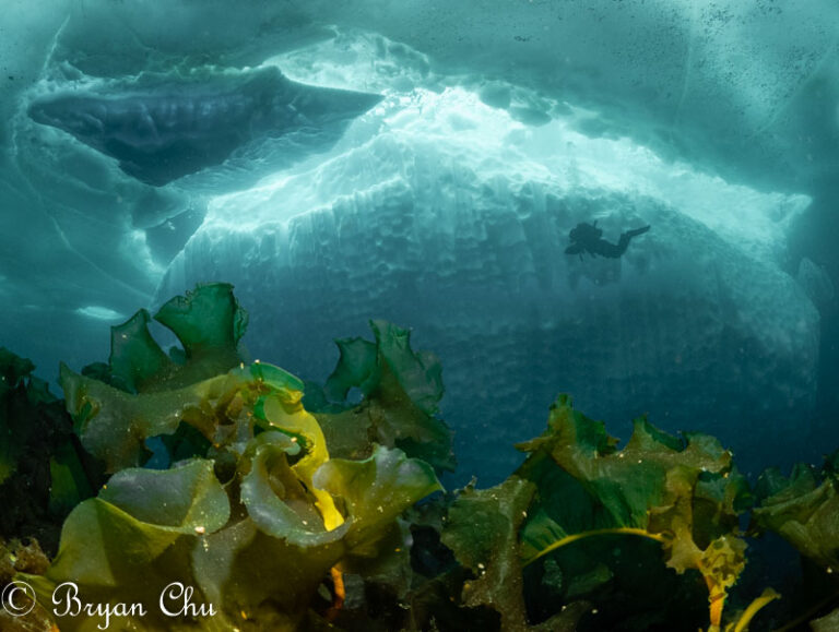 Frozen Perspectives: Behind the Scenes on Greenland Iceberg Photo Composition and Post-Processing 2018-05-01-BCGreenland15B