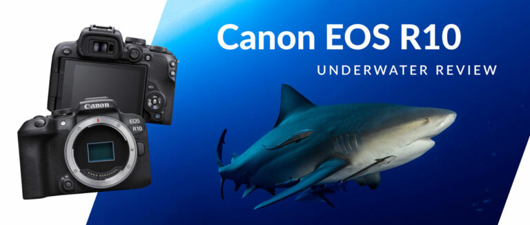 Canon EOS R10 Review 21da36cf-11ee-5717-3636-d7c7d9914c49