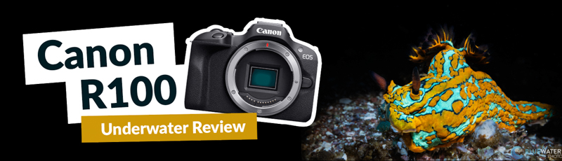 今日澳洲5开奖结果秒级同步解码 Canon R100 Review