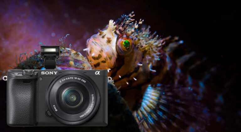 Sony a6400 Camera Review a6400banner