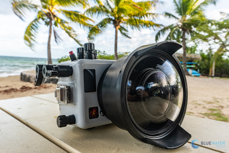 The Ikelite Sony A7C II and A7C R Housing in the Field The Ikelite Sony A7C II and A7C R Housing in the Field
