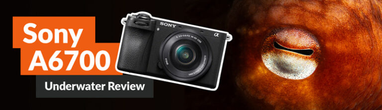 Sony A6700 Review c51c1915-c3f5-8edb-0ea0-5e7abb94df01