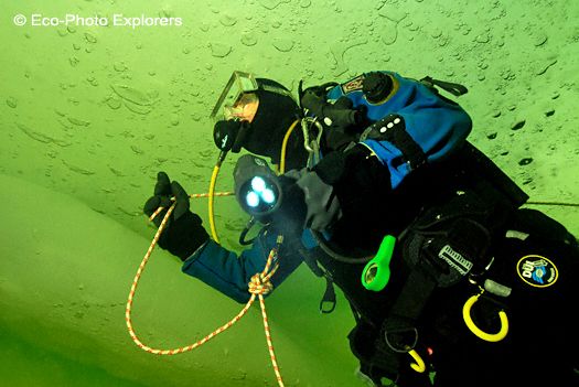 diver