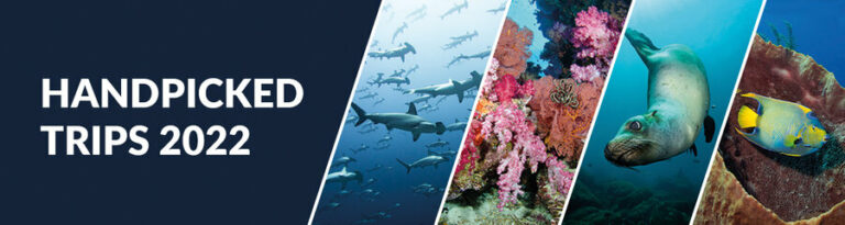 Bluewater Handpicked Trips handpicked-header-2