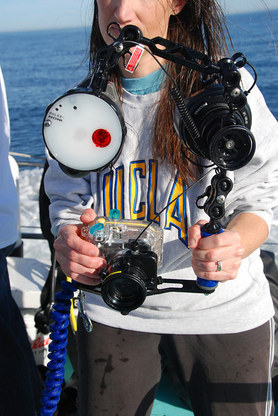 Inon wet lens caddy