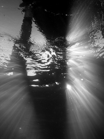 Light Rays At The Pier. Photo by Cal Mero. Oly SP350, f/3.5, 1/1000th, ISO 50. "I dived in the late afternoon when the sun was low in the sky. This created vivid light rays and dramatic shadows" underwater photography with light rays