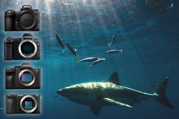 Camera Selection Guide mirrorless-image-option1