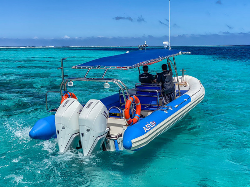 Moorea whale snorkeling trip Large Boat