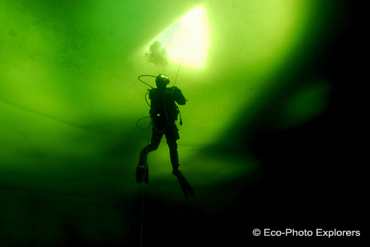Diving the White Sea