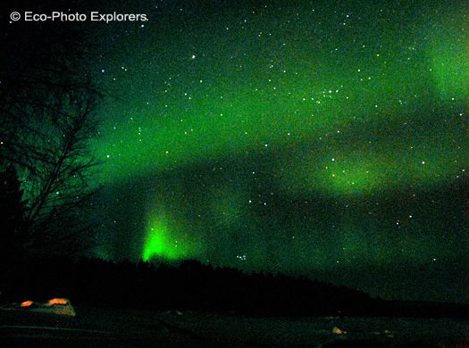 Aurora