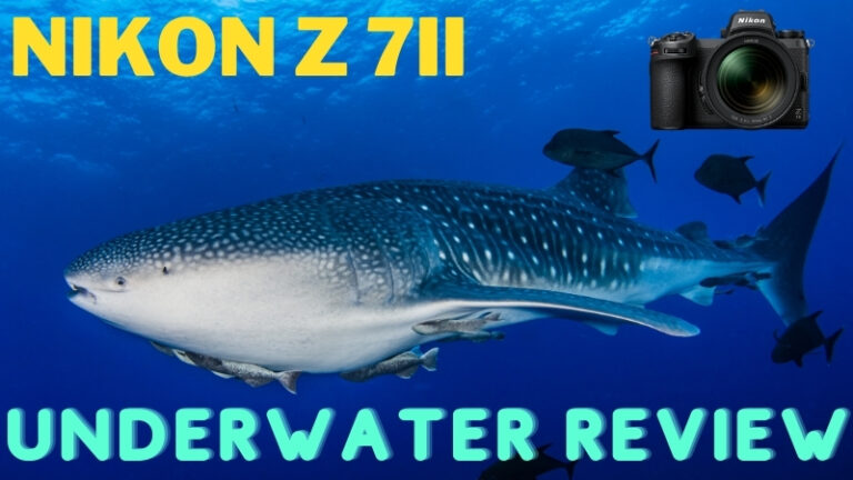 Nikon Z7II & Z6II Review nikonz7ii20