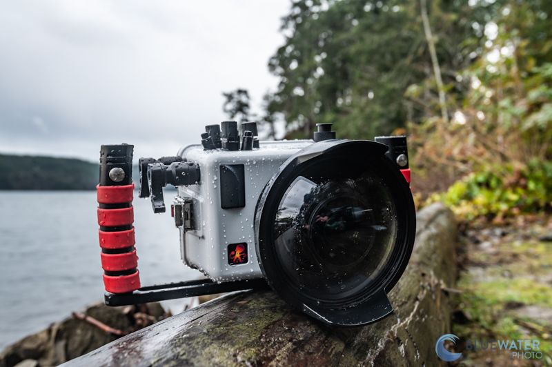 Ikelite Canon EOS R7 Housing Ikelite Canon EOS R7 Housing