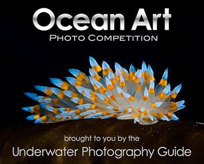 2014 Ocean Art Contest Winners Ocean Art logo-400pix