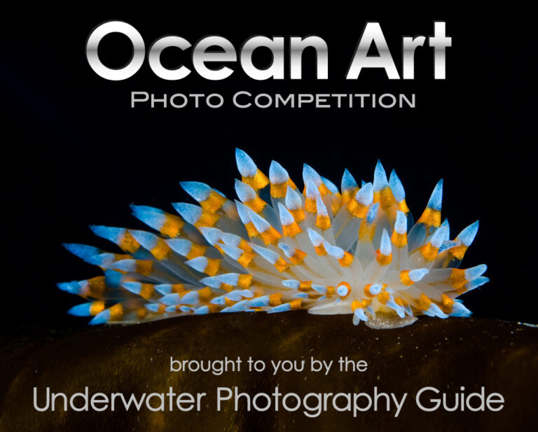 2011 Ocean Art Photo Competition Ocean Art logo