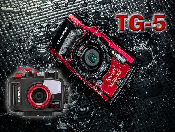 Olympus Tough TG-5 Camera Review olympus-tg-5-review-pic