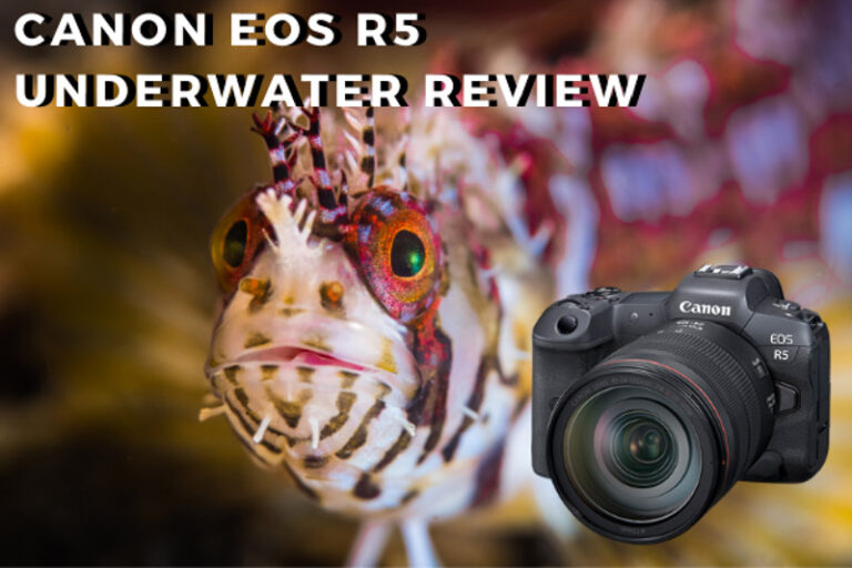 Canon EOS R5 Review r5review