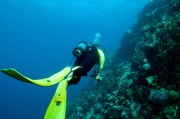 st_vincent_diving