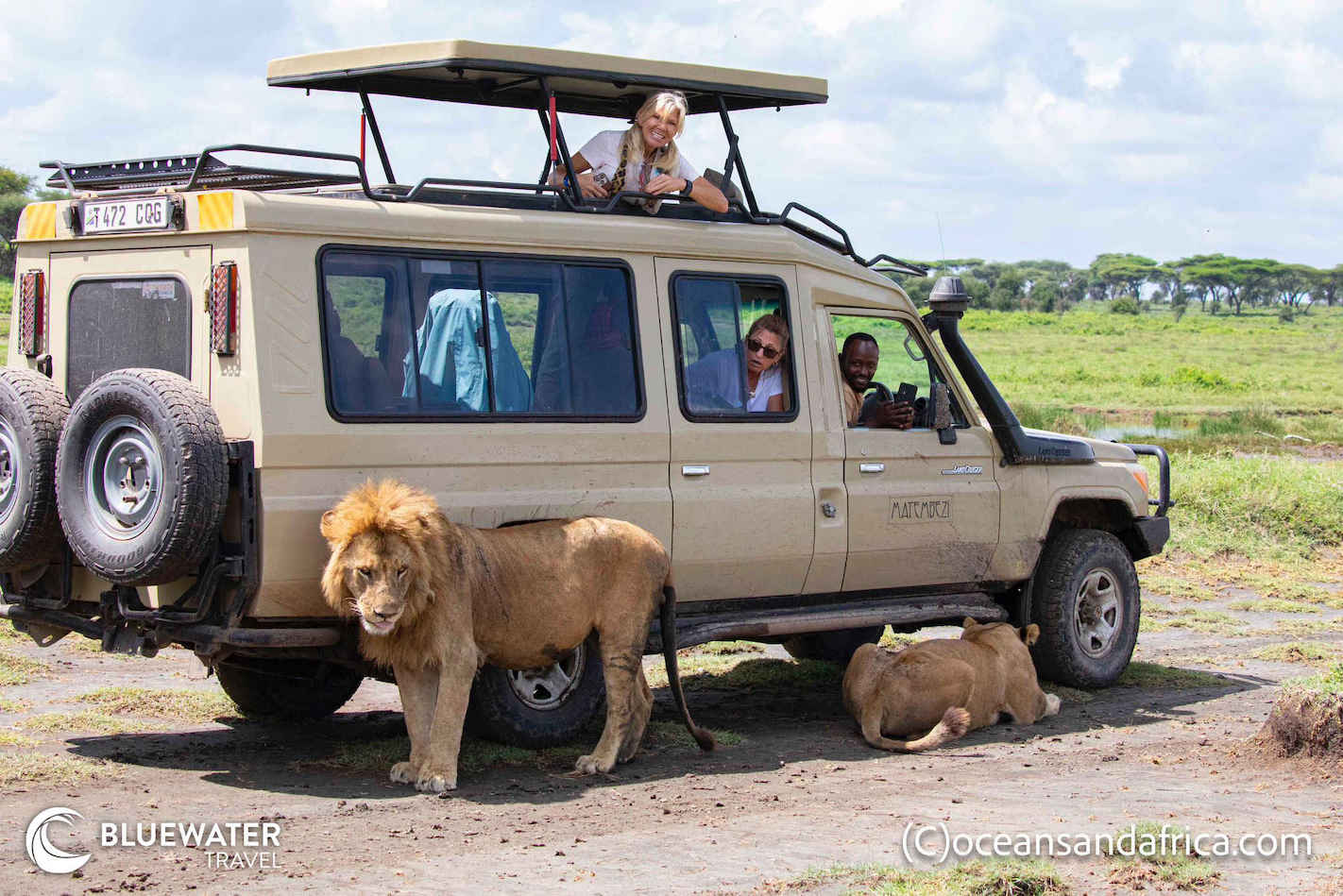 Tanzania Trip Report December 2024 Tanzania Trip Report December 2024