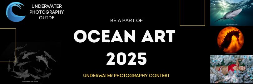 Ocean Art 2025 Competition Announced