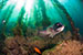 Underwater Composition