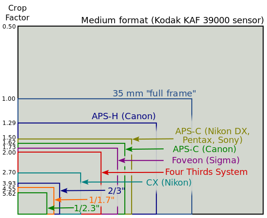 550px-Sensor_sizes_overlaid_inside_-_updated