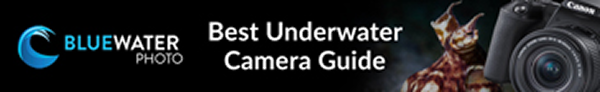 Best Underwater Cameras Best Underwater Cameras